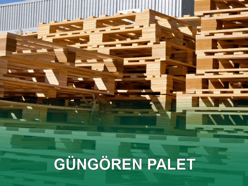 Güngören Palet Galeri 1