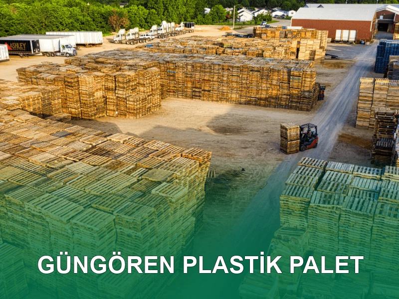 Güngören Palet Galeri 6
